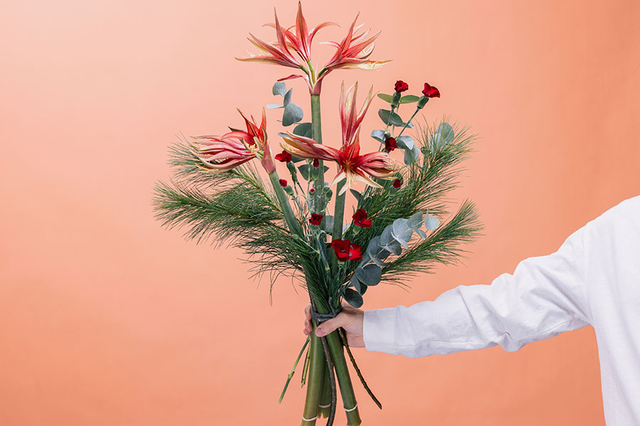 Amaryllis Craze - Image 2