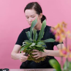 Kokedama Workshop